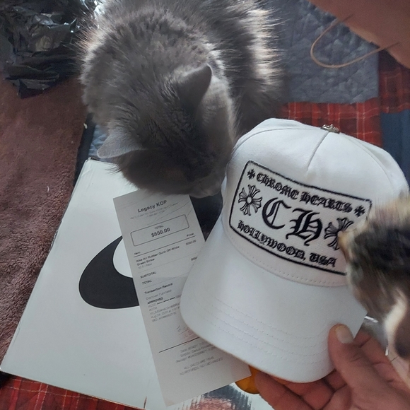 Meet your Posher, John - Picture 6 of 10